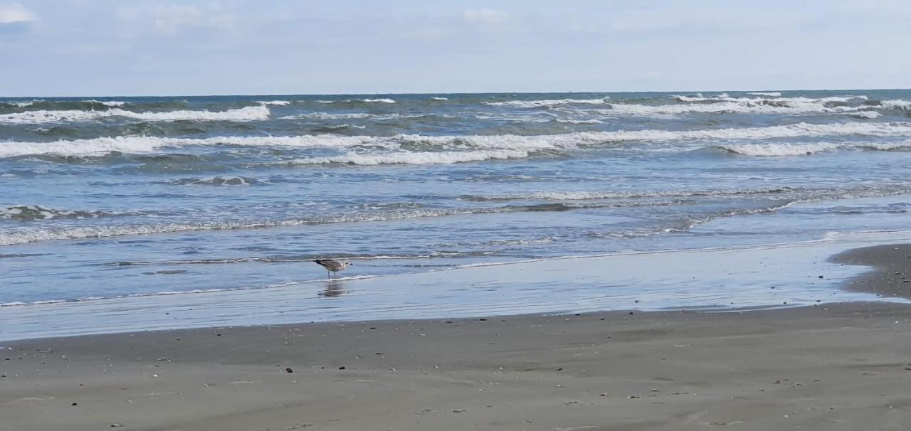 Isabelle Apartament Alezzi Beach Resort Mamaia Nord Năvodari Zewnętrze zdjęcie